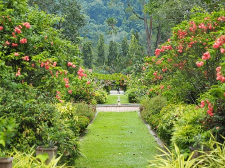 Penang Botanic Gardens, George Town, Malaysia